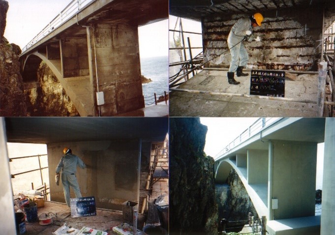 セメンテックスCMSシリーズ <カチオン性SBR系ポリマーセメントモルタル>