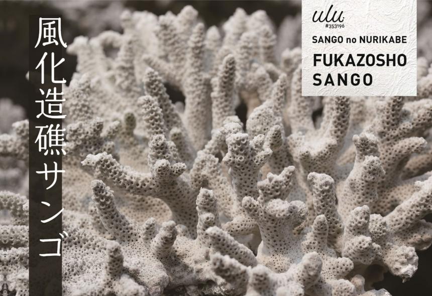 サンゴの塗り壁 ulu. #353196