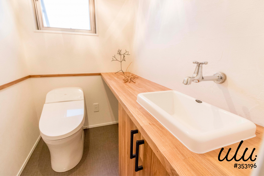 サンゴの塗り壁 ulu. #353196【風化造礁サンゴ】