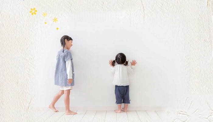 ラクヌリ【大臣認定 不燃材料/天然素材の塗り壁材】