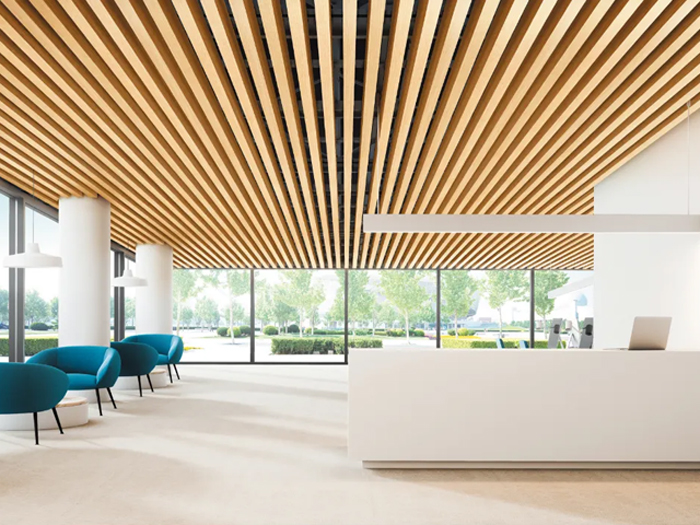 freely Lite [フリーリーライト]