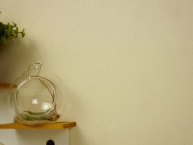 FINISH ONE 【珪藻土塗り壁】