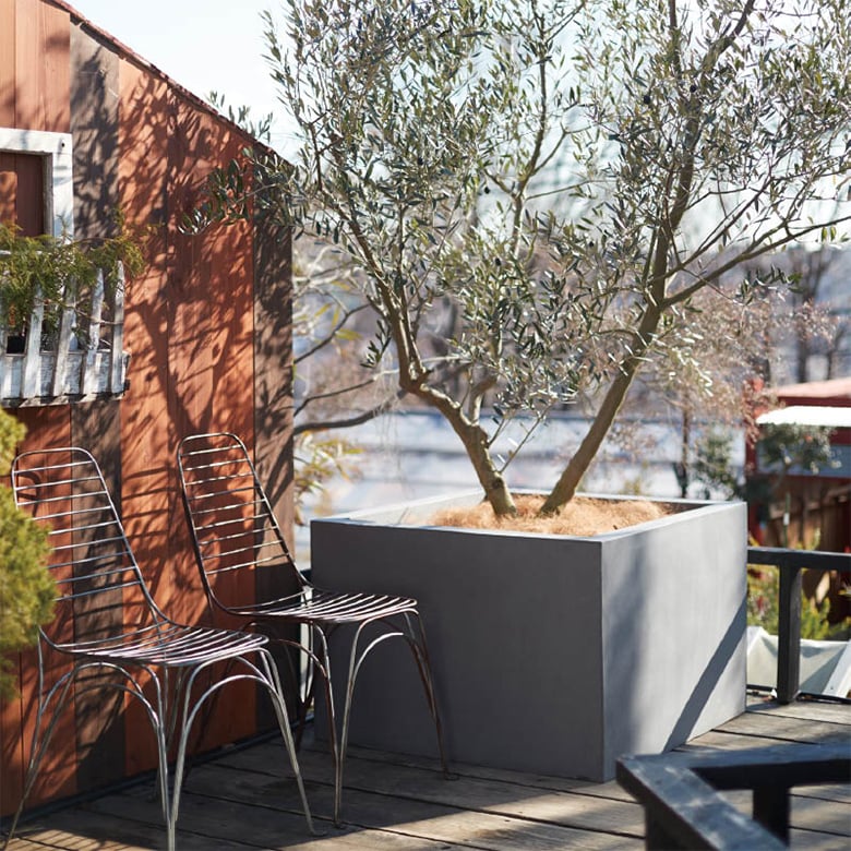 マグナスシリーズ