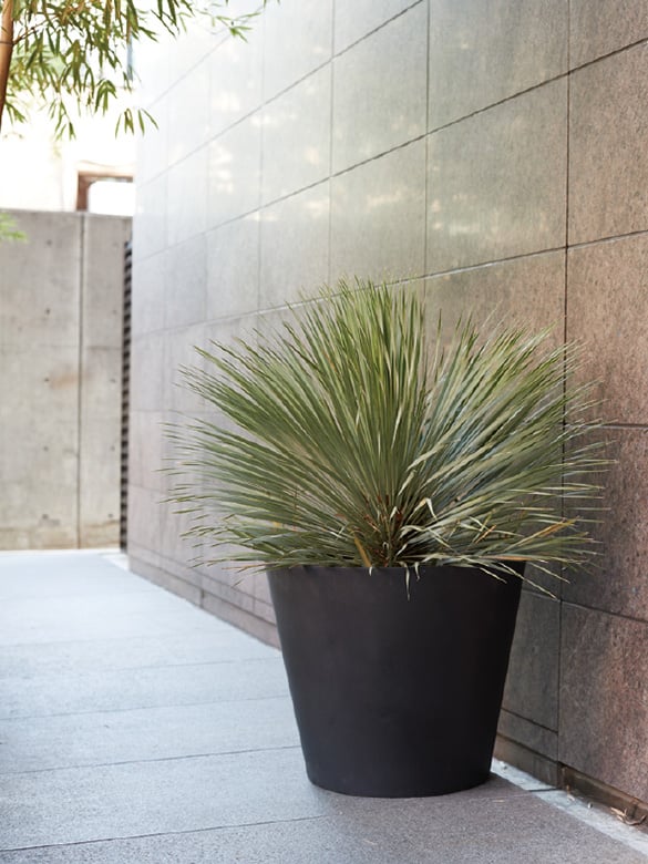 マグナスシリーズ