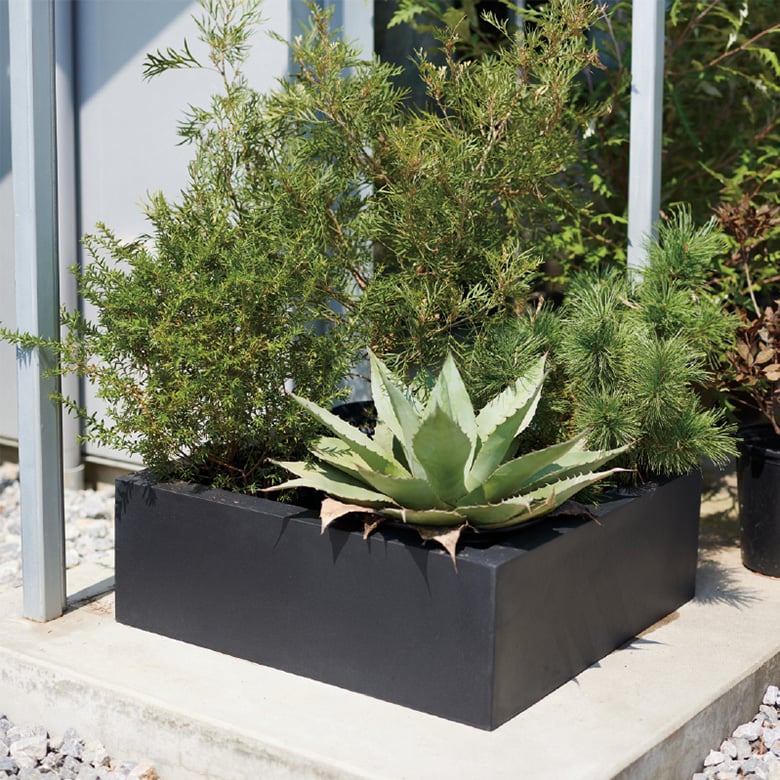 マグナスシリーズ