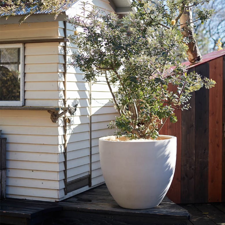 マグナスシリーズ