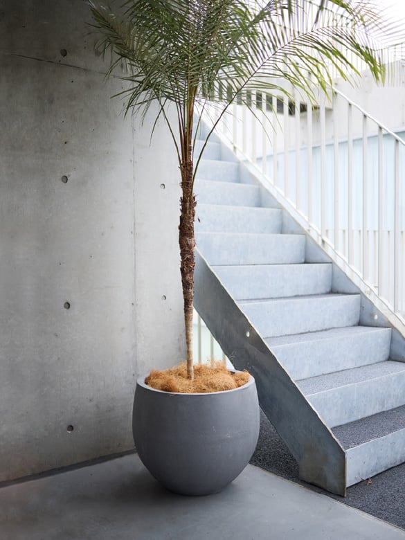 マグナスシリーズ