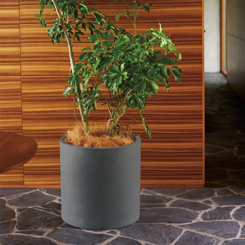 マグナスシリーズ