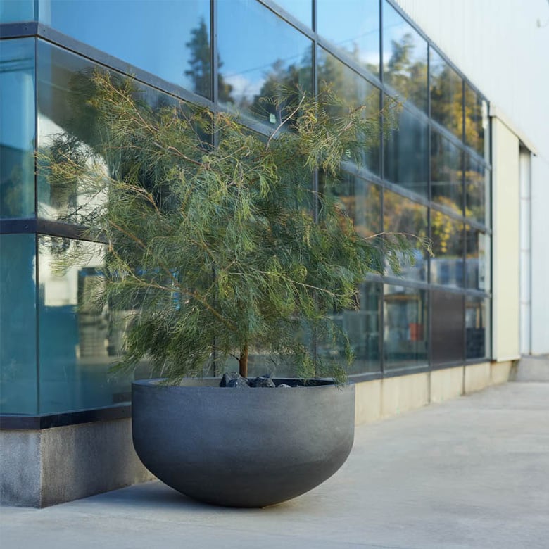 マグナスシリーズ