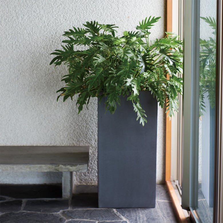 マグナスシリーズ