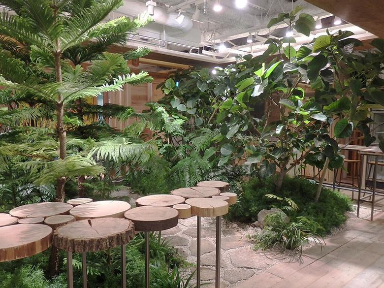 バイオフィリックデザイン