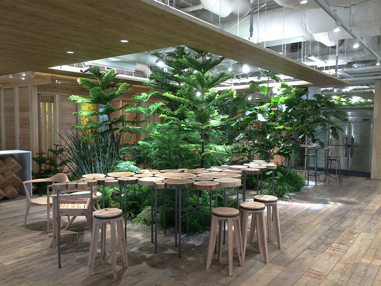 バイオフィリックデザイン