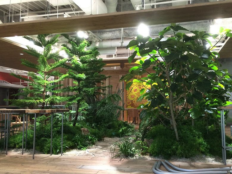 バイオフィリックデザイン