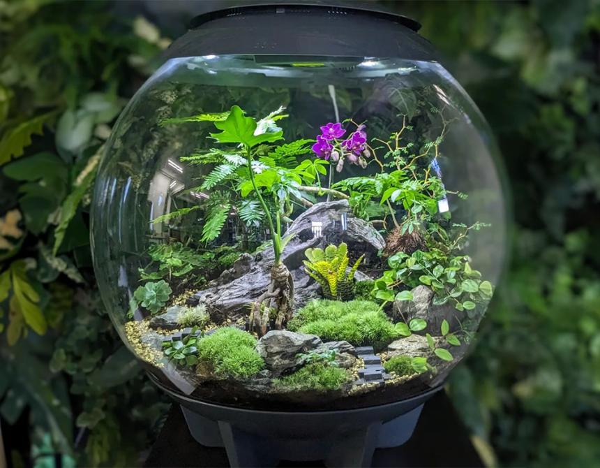 biOrb AIR 60(バイオーブ)