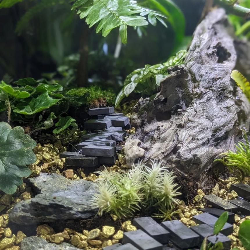 biOrb AIR 60(バイオーブ)