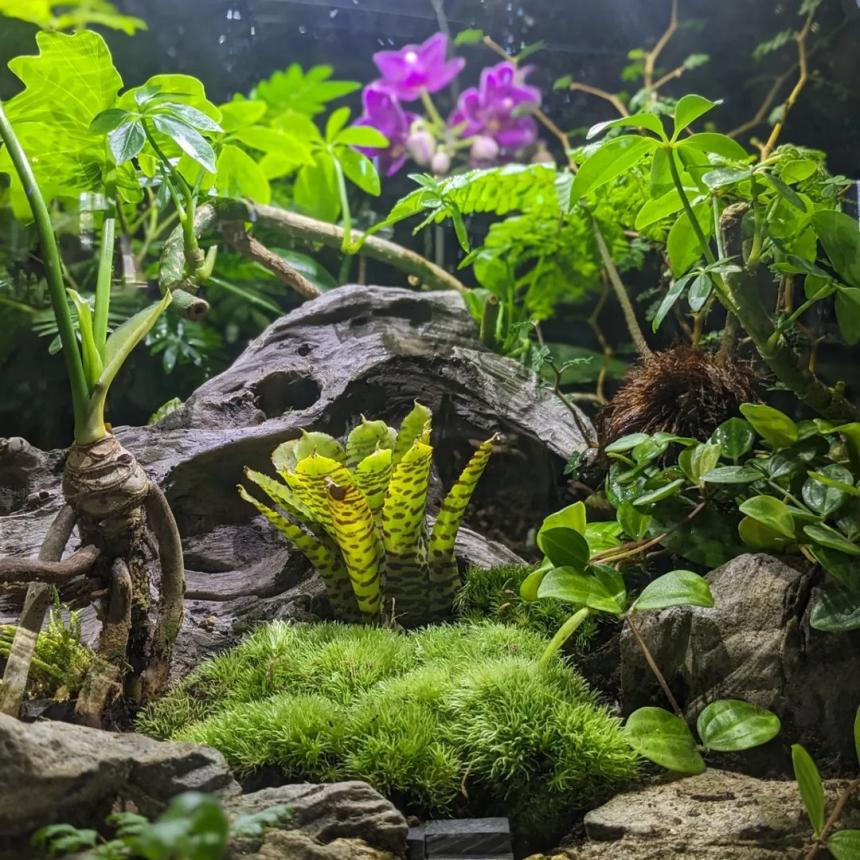 biOrb AIR 60(バイオーブ)