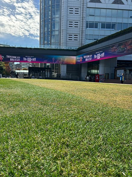 ハイブリッド芝 「プレイマスター」