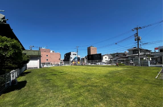 ハイブリッド芝 「プレイマスター」