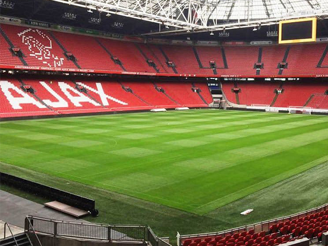 ハイブリッド芝 「プレイマスター」