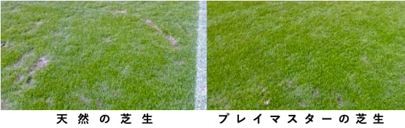 「プレイマスター」市役所の使用事例