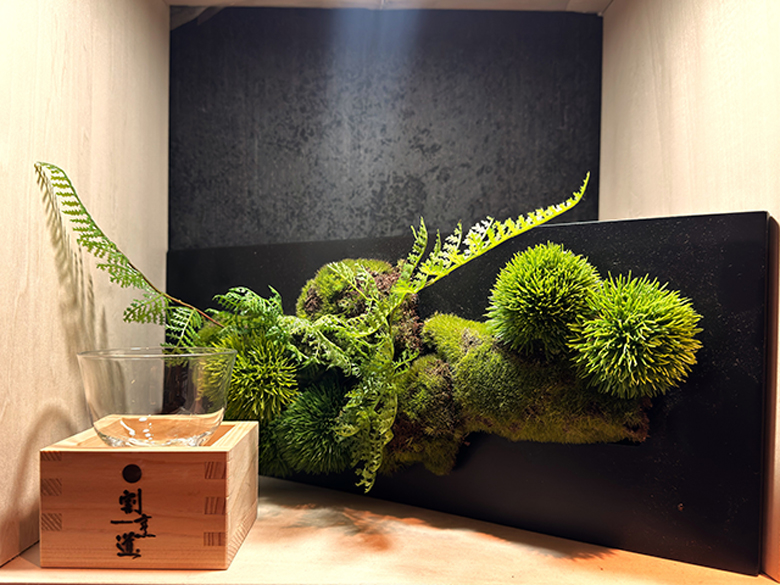 盆栽 CUPBONカップボン/プリマ株式会社