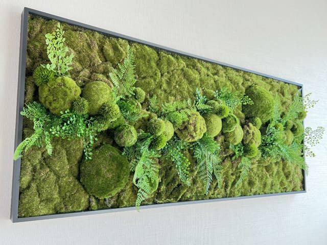 ウォールグリーン 壁面緑化 グリーンパネル苔タイプ