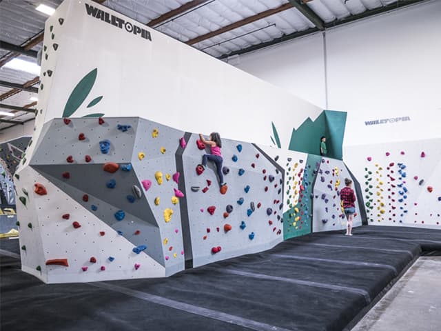 KAPUTAR ホールド &lt;Koala Pinch - コアラピンチ - &gt;