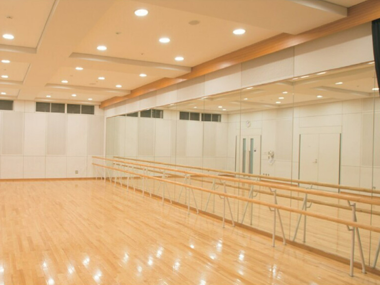 リフォジュール不燃意匠性膜システム