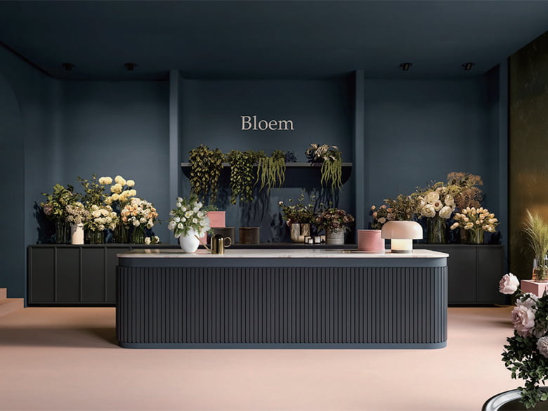 Solidro / ソリドロ