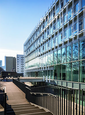 MATTE COVER / マットカバー