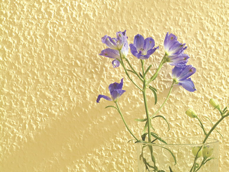 チップス・フリーズ