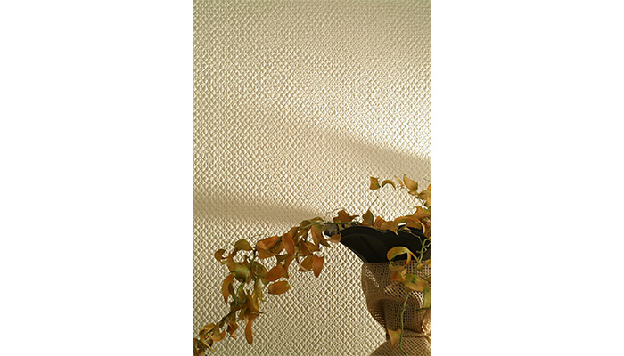 ルナファーザー専用漆喰塗料 【ルナしっくい】