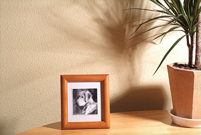 ルナファーザー専用漆喰塗料 【ルナしっくい】