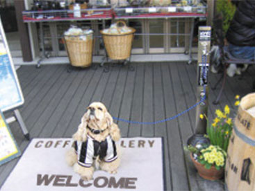 【スチール・ステンレス製】車止め(メドーマルク)