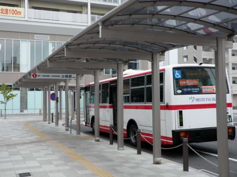 シェルタールーフ