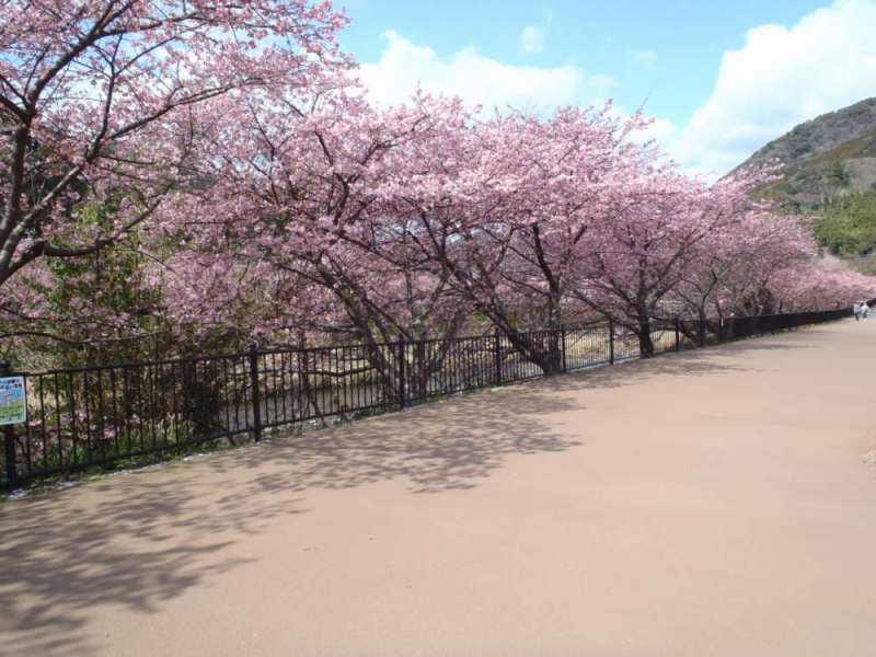 アーバンライト