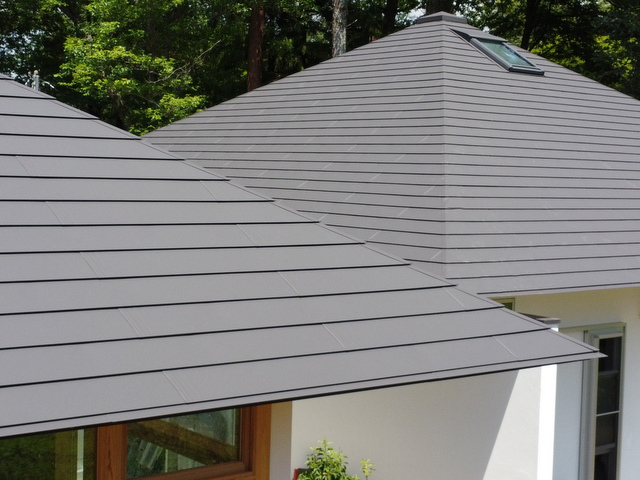 ダンネツトップ S&amp;Sルーフ