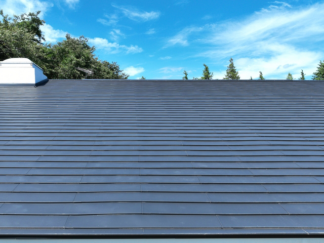 日本の屋根 ダンネツトップ4-1ワイド | 株式会社セキノ興産 | 【建材ナビ