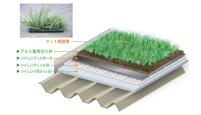 【屋上緑化】スーパーソイレン