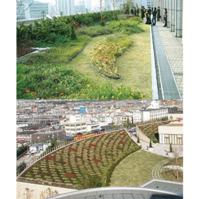 【屋上緑化】スーパーソイレン