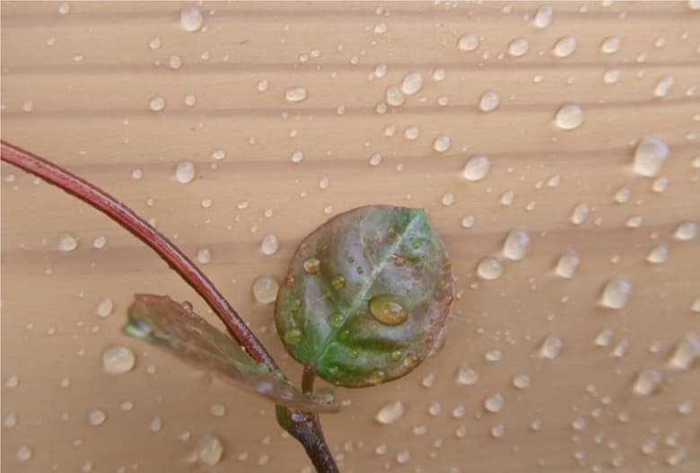 シリコン系強撥水形塗料「S-100」