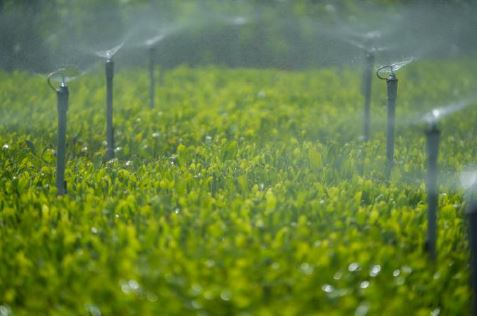 VECO パーティクルボード