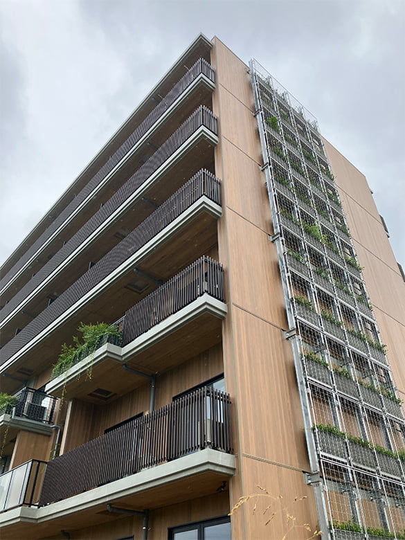 SUSTIMBER(サスティンバー)