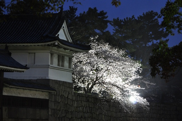 MIRACH - LED 投光器