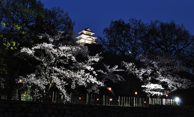 MIRACH - LED 投光器