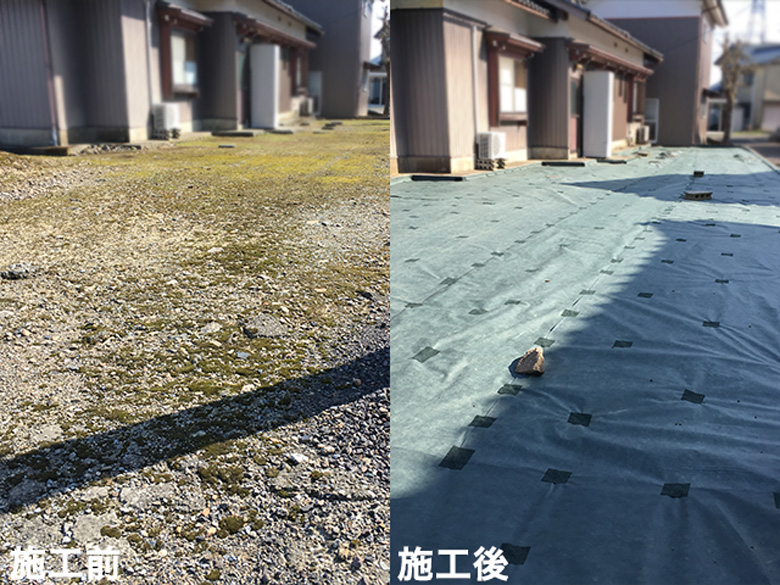 ナックス®︎ EXエキスパートタイプ