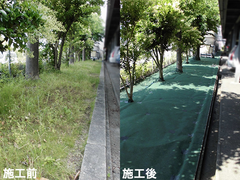 ナックス®︎ S310