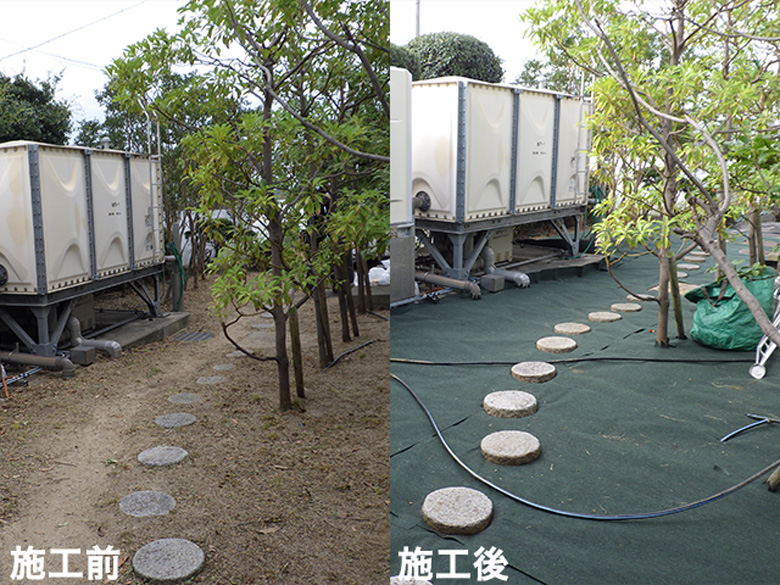 ナックス®︎ S310