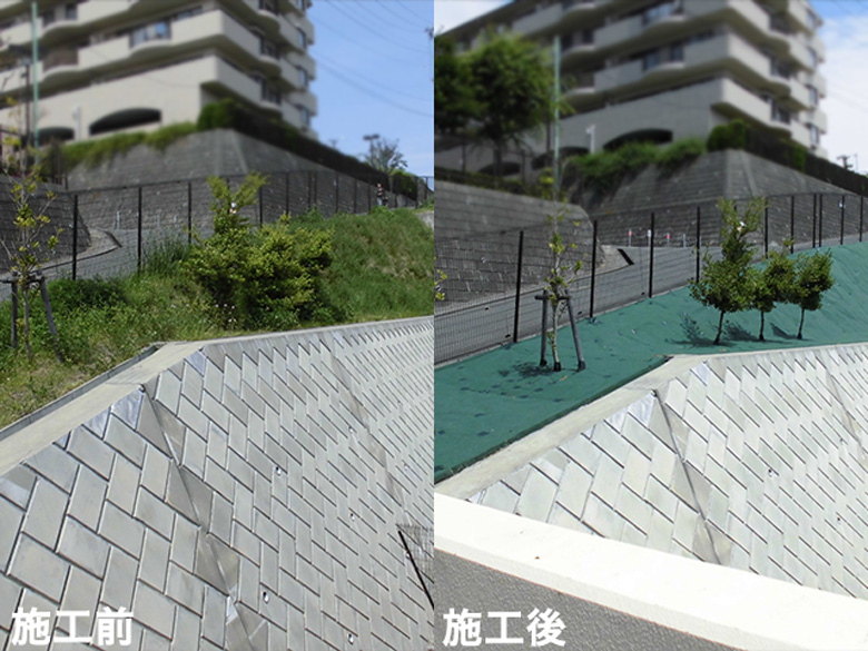 ナックス®︎ S310