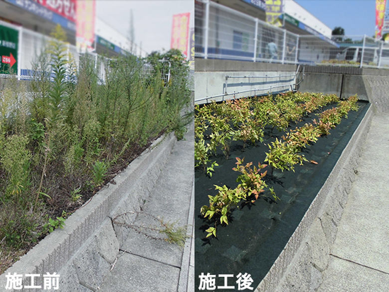 ナックス®︎ G300